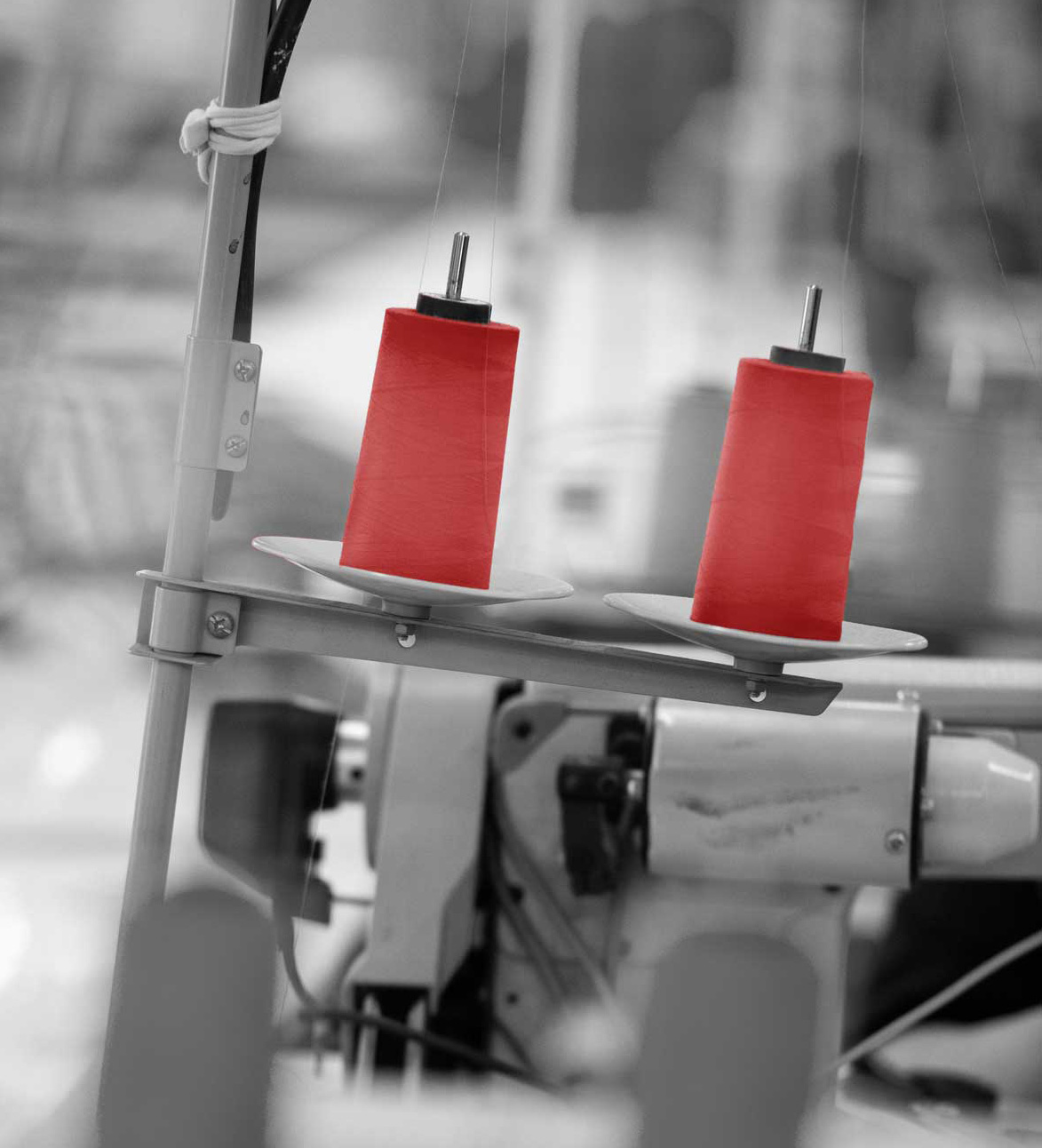 DSC NB rouge