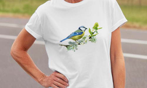 Mésange
